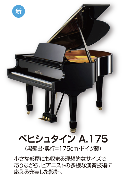 ベヒシュタイン A.175