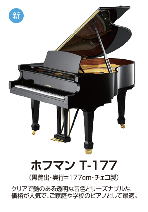 ホフマン T-177