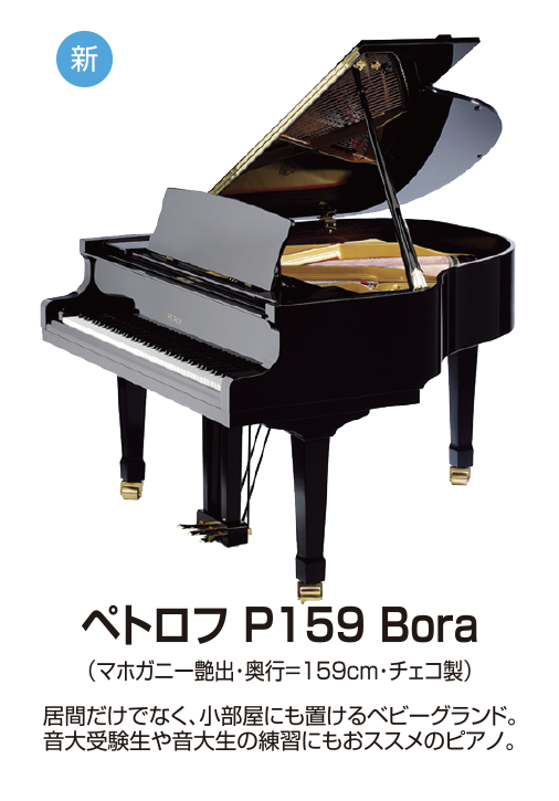 ペトロフ P159 Bora