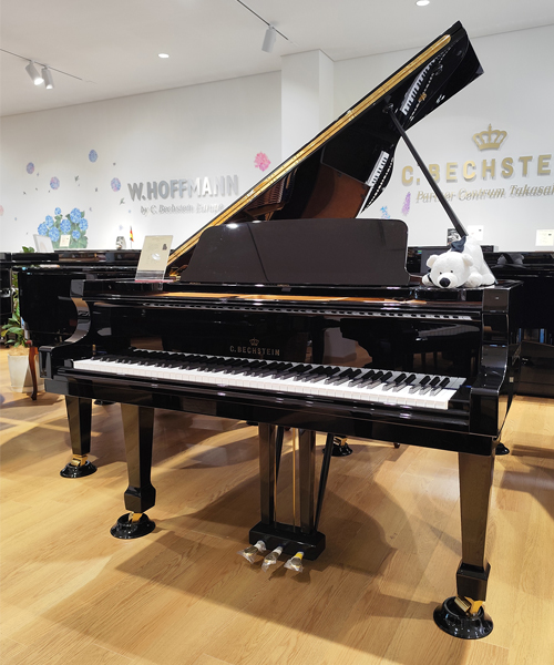 ベヒシュタイン A.175