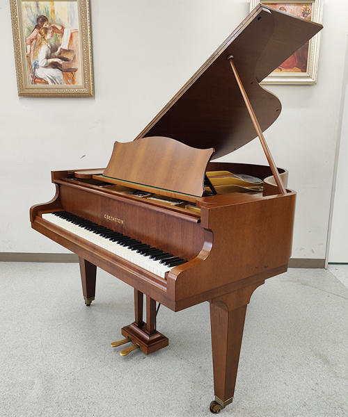 ベヒシュタイン L-165