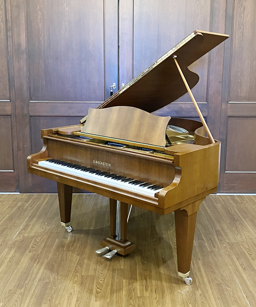 ベヒシュタイン L-165