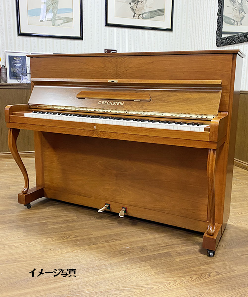 ベヒシュタイン 12b