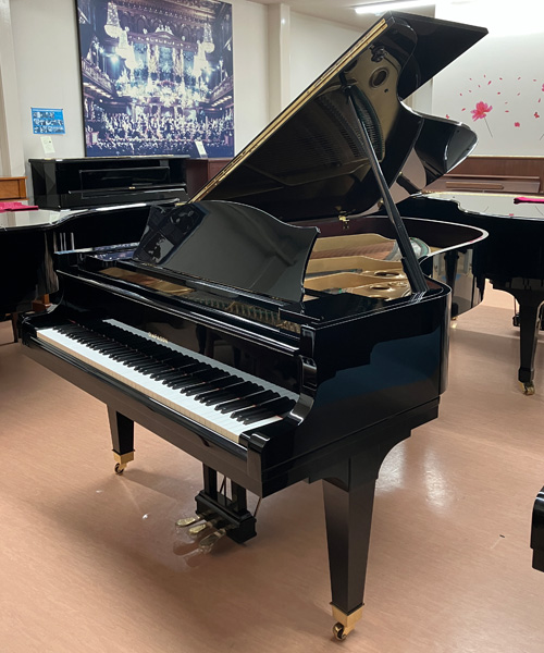 ディアパソン 210E