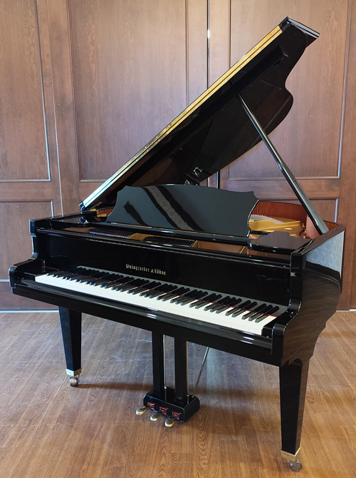 シュタイングレーバー 162