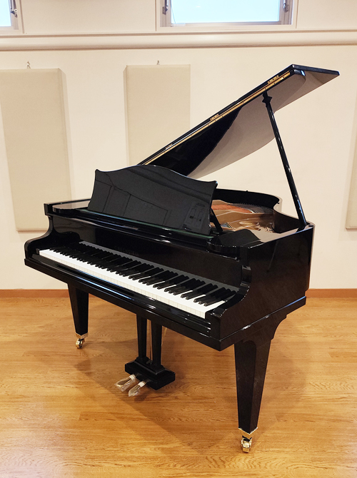 ベヒシュタイン S-145